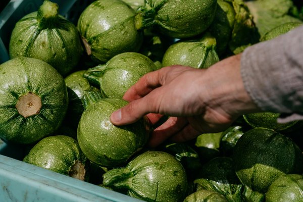 Mâchon lyonnais : une tradition lyonnaise qui perdure à travers les années